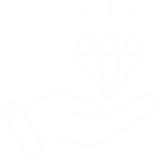 Icon 1